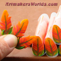 Orange Parrot feather cane