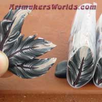 Another Eagle Feather