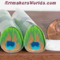 Peacock feather cane