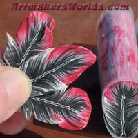 African Grey parrot feather cane