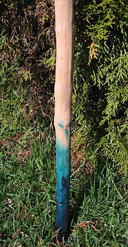 Beach walking stick
