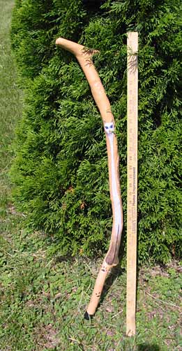 cat walking stick