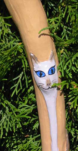 cat walking stick