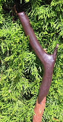 Lucky 7 dice walking stick