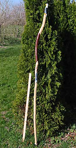 Native American walking stick