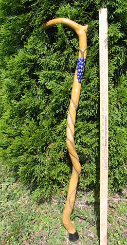 Grape vine stick
