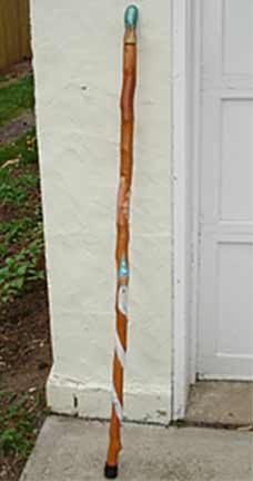 nature walking stick