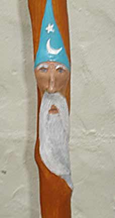 nature walking stick