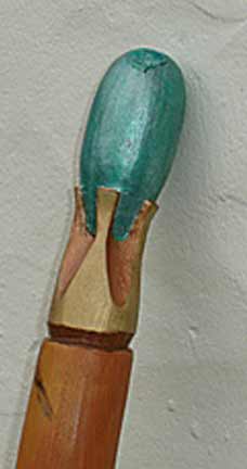 nature walking stick