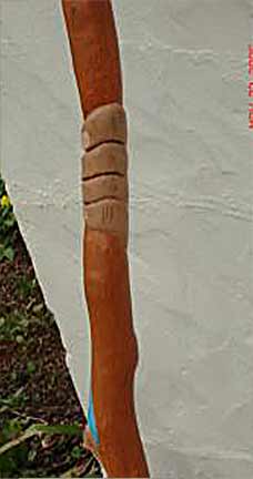 nature walking stick