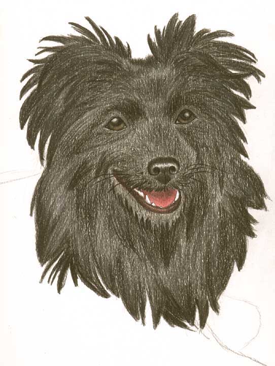Childrens book image 1