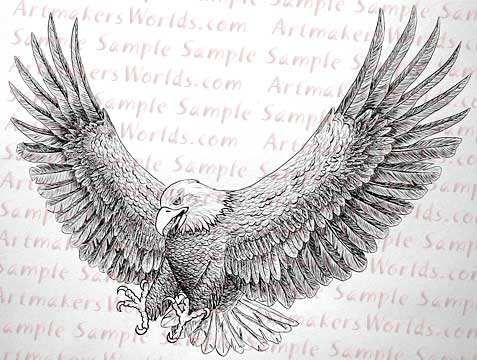 eagle line art