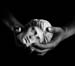 Hands